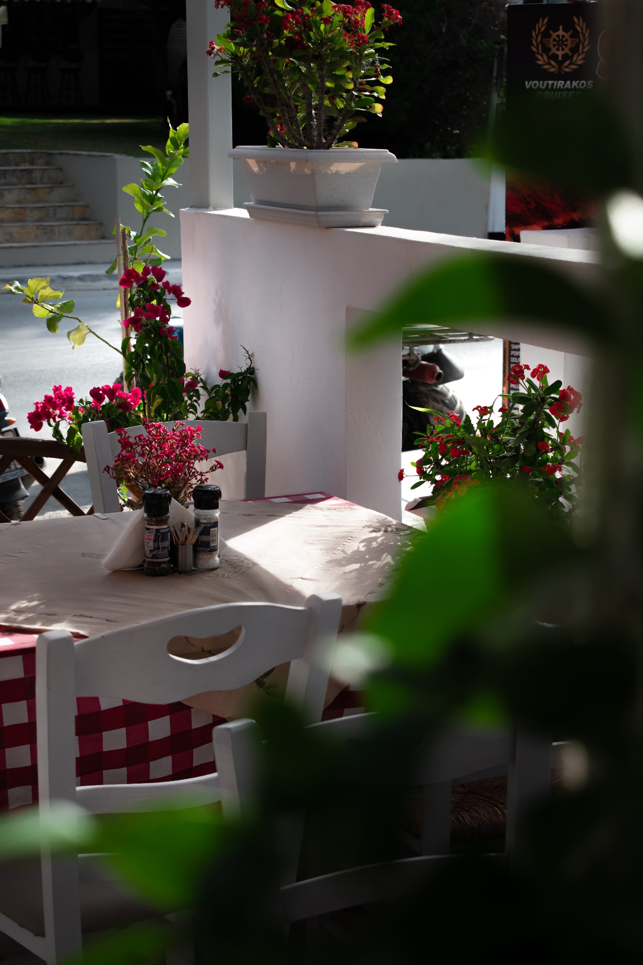 Outside table framed by bougainvillea
