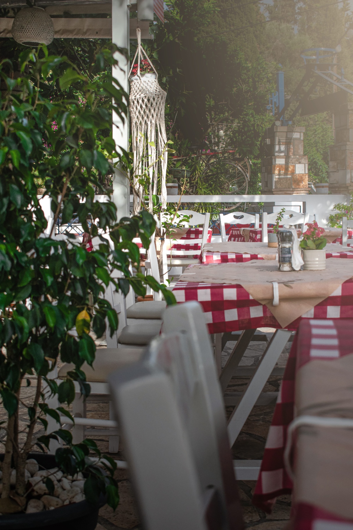 Tables under the pergola at golden hour