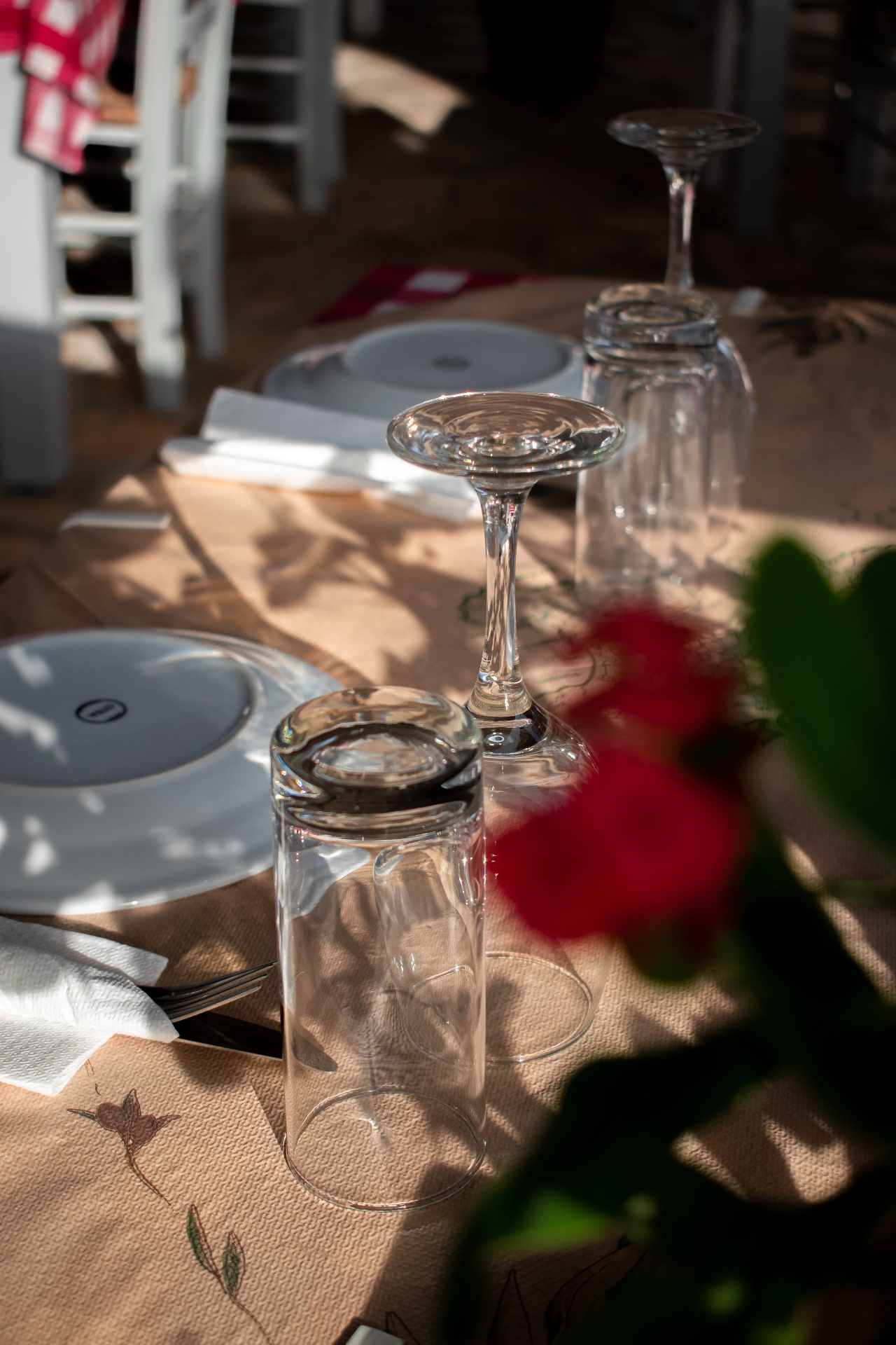 Upturned glasses catching the afternoon light